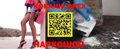 спайс Кингисепп