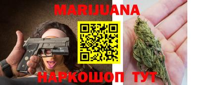 спайс Кингисепп