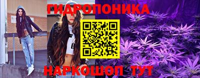 спайс Кингисепп