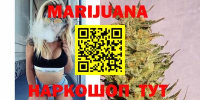 спайс Кингисепп