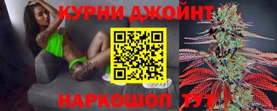спайс Кингисепп