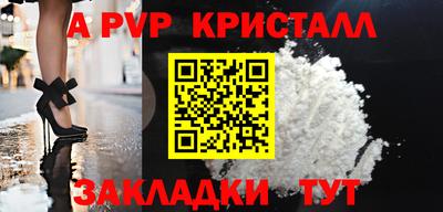 спайс Кингисепп