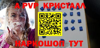 спайс Кингисепп