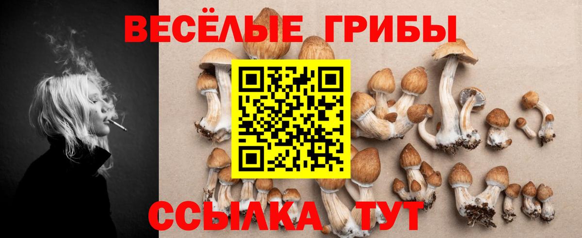Псилоцибиновые грибы Psilocybine cubensis Крымск